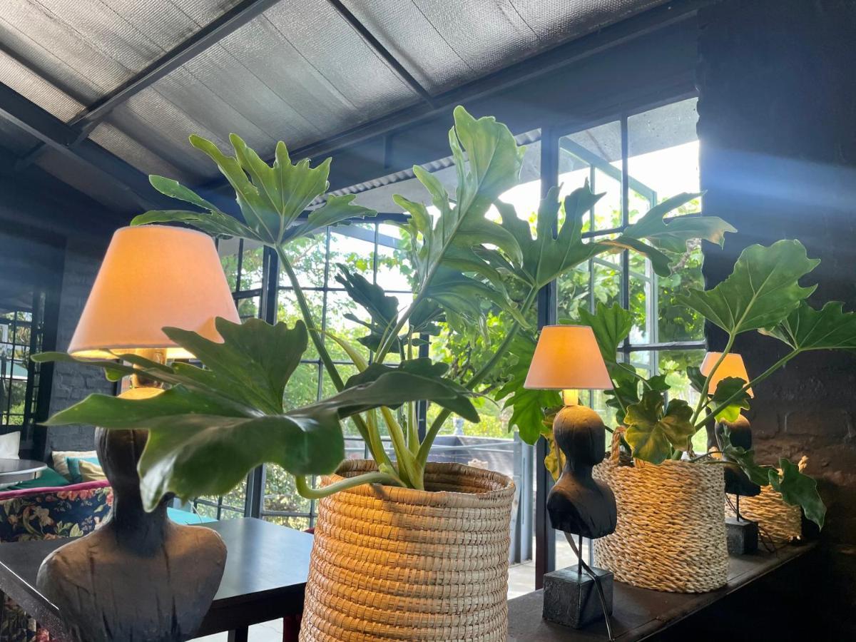 Le Reve Boutique Hotel Tulbagh Exteriér fotografie