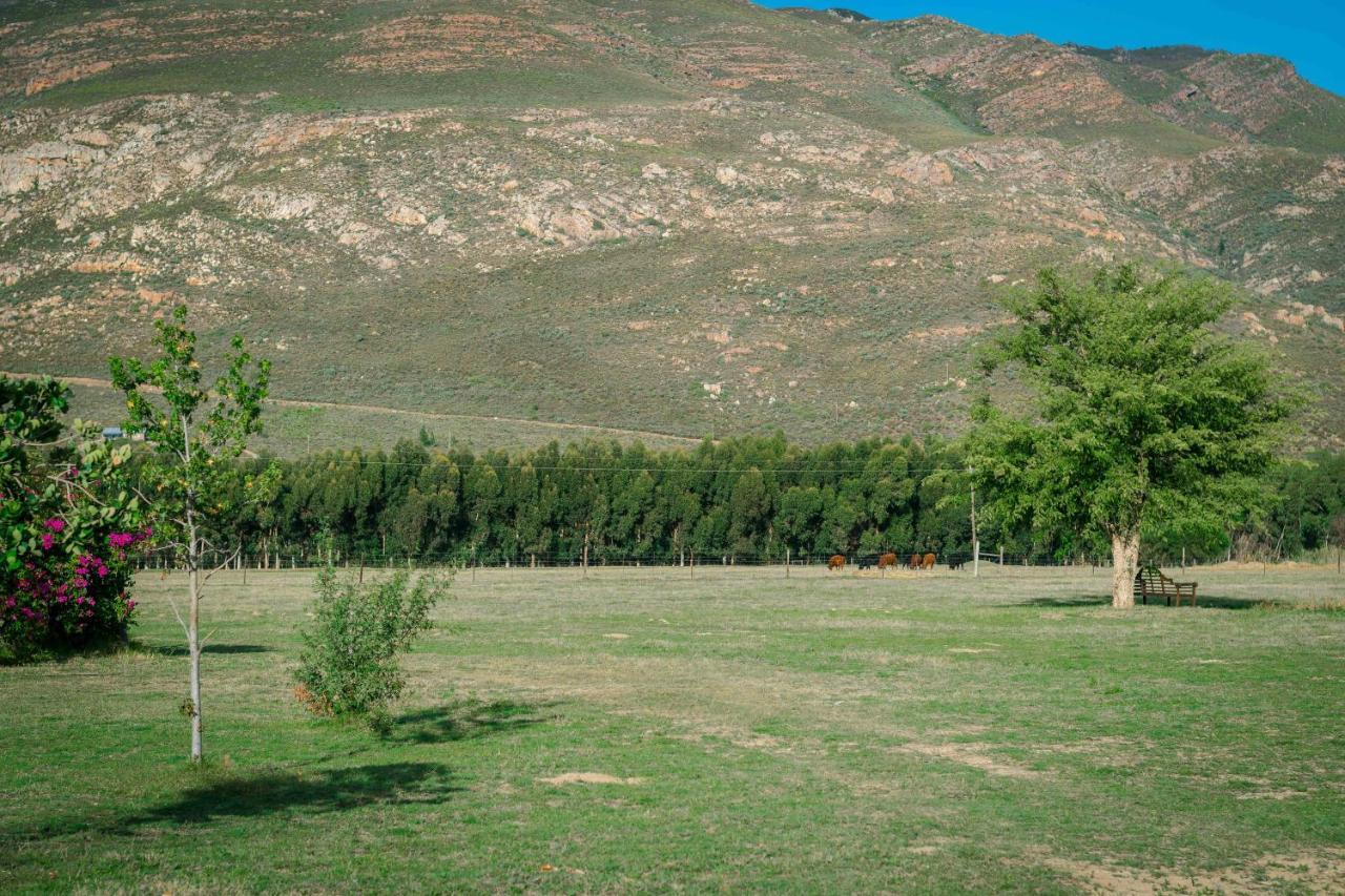 Le Reve Boutique Hotel Tulbagh Exteriér fotografie