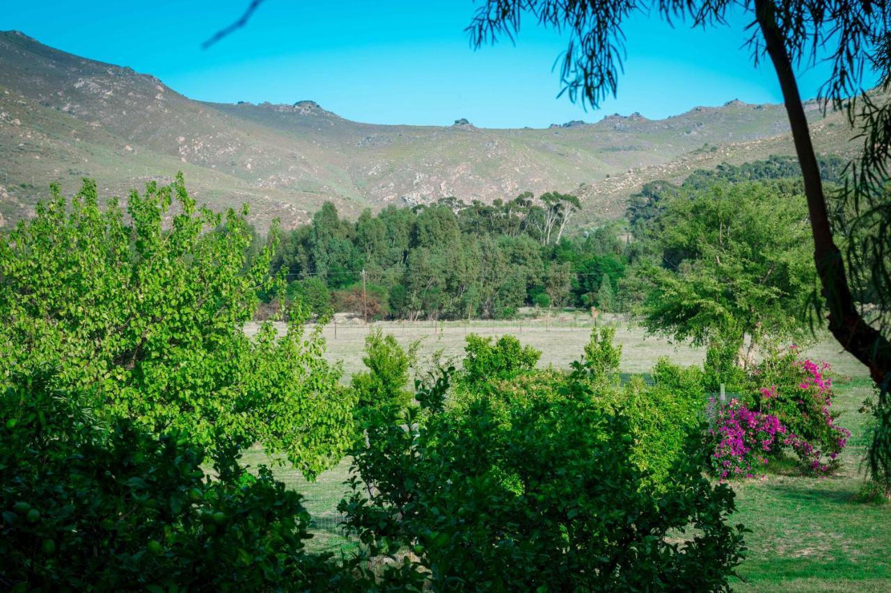 Le Reve Boutique Hotel Tulbagh Exteriér fotografie